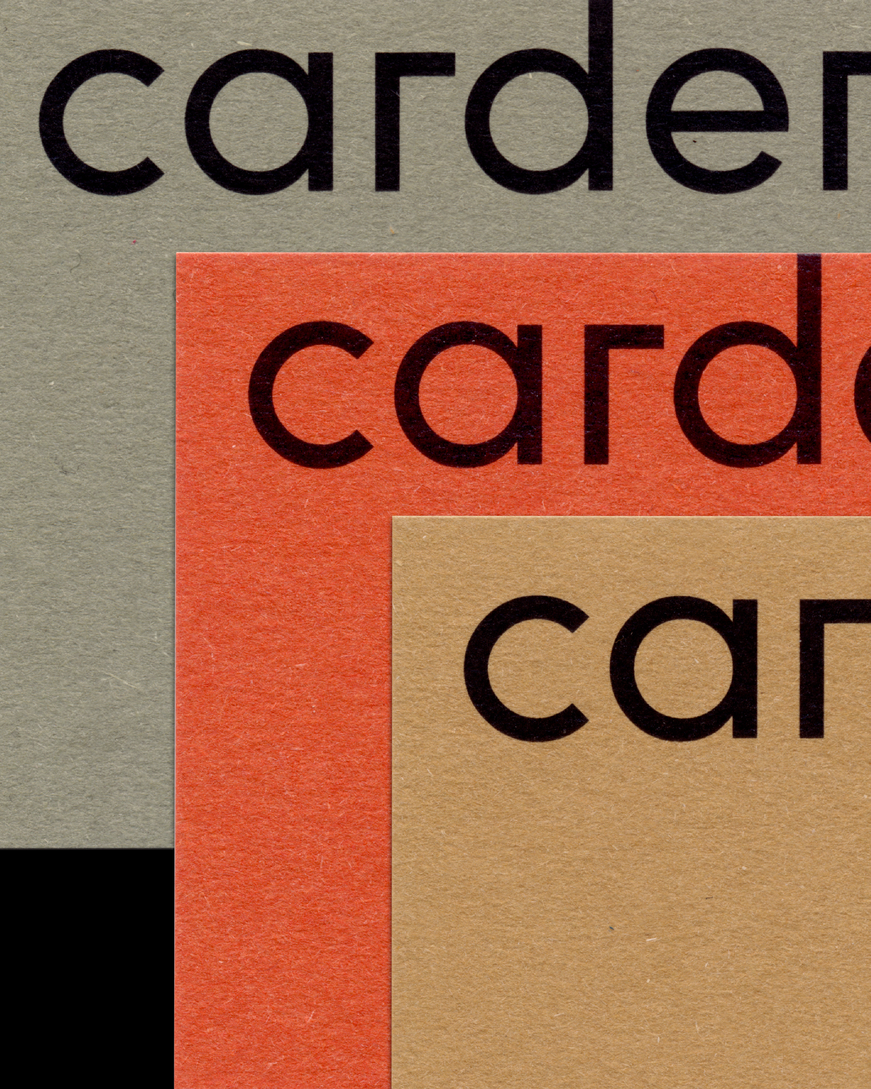 Cartes de visites